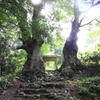 悠久の歴史の石段