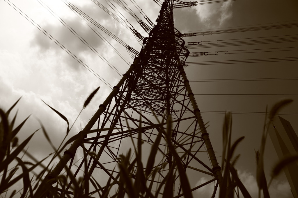 MOSH UNDER THE IRON TOWER