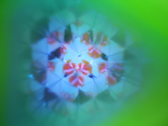 向こう側