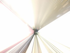 ひかりのおび