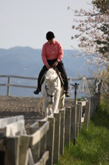 春風の乗馬