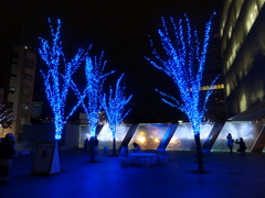 六本木ヒルズの夜３