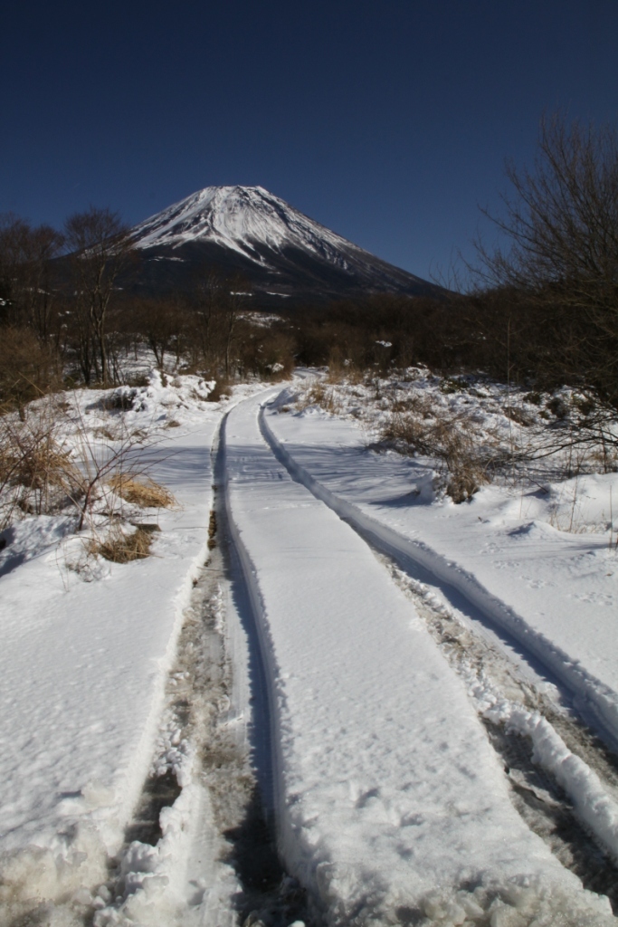雪道