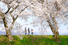 春を迎えて
