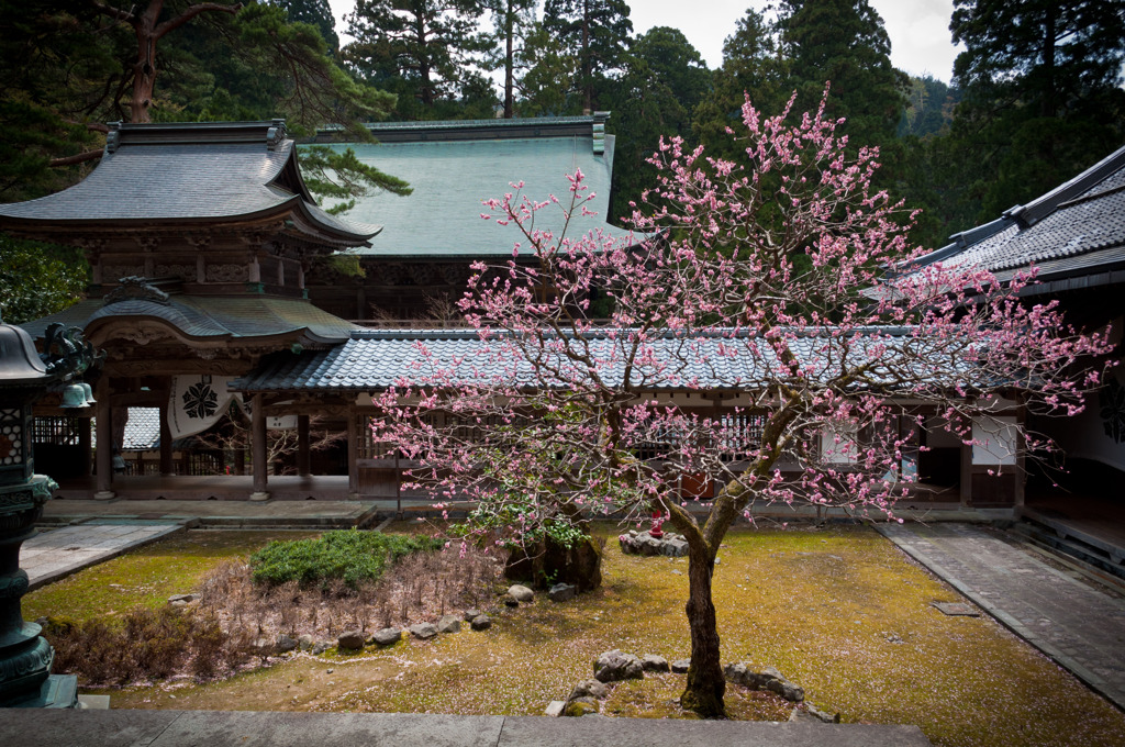 風格