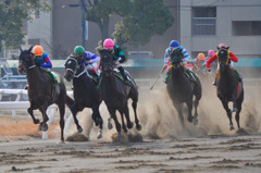 名古屋競馬①