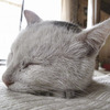 眠い