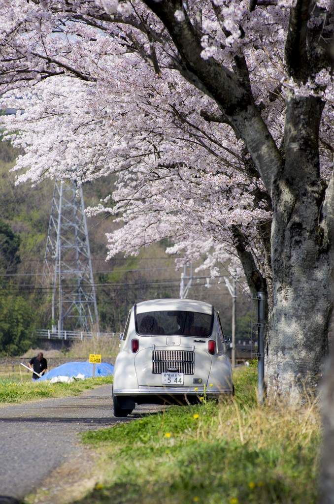 桜スバル