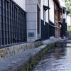 水路白壁大銀杏