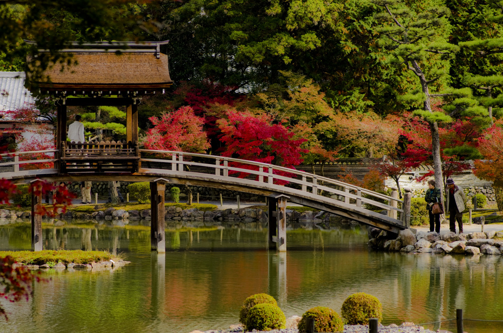 無際橋