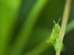 泣いてる？