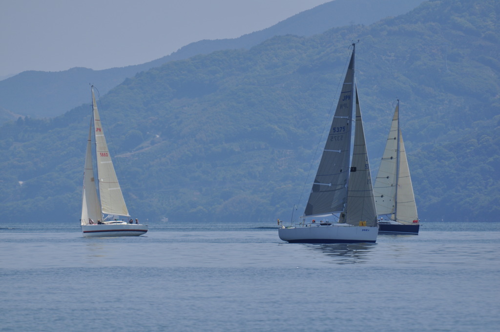 かぜに吹かれて