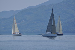 かぜに吹かれて