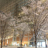 雪の東京国際フォーラム