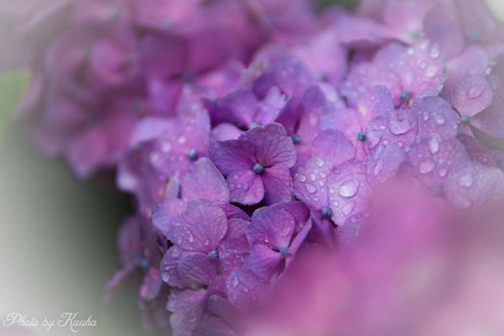 雨の中…