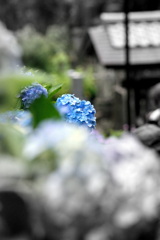 成就院