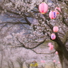 桜まつり