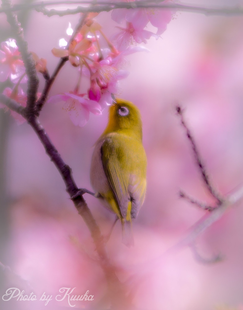 いただきます♪