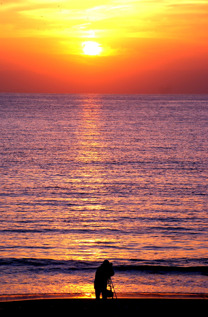 冬の海