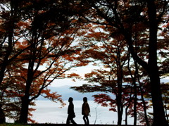 素敵な散歩
