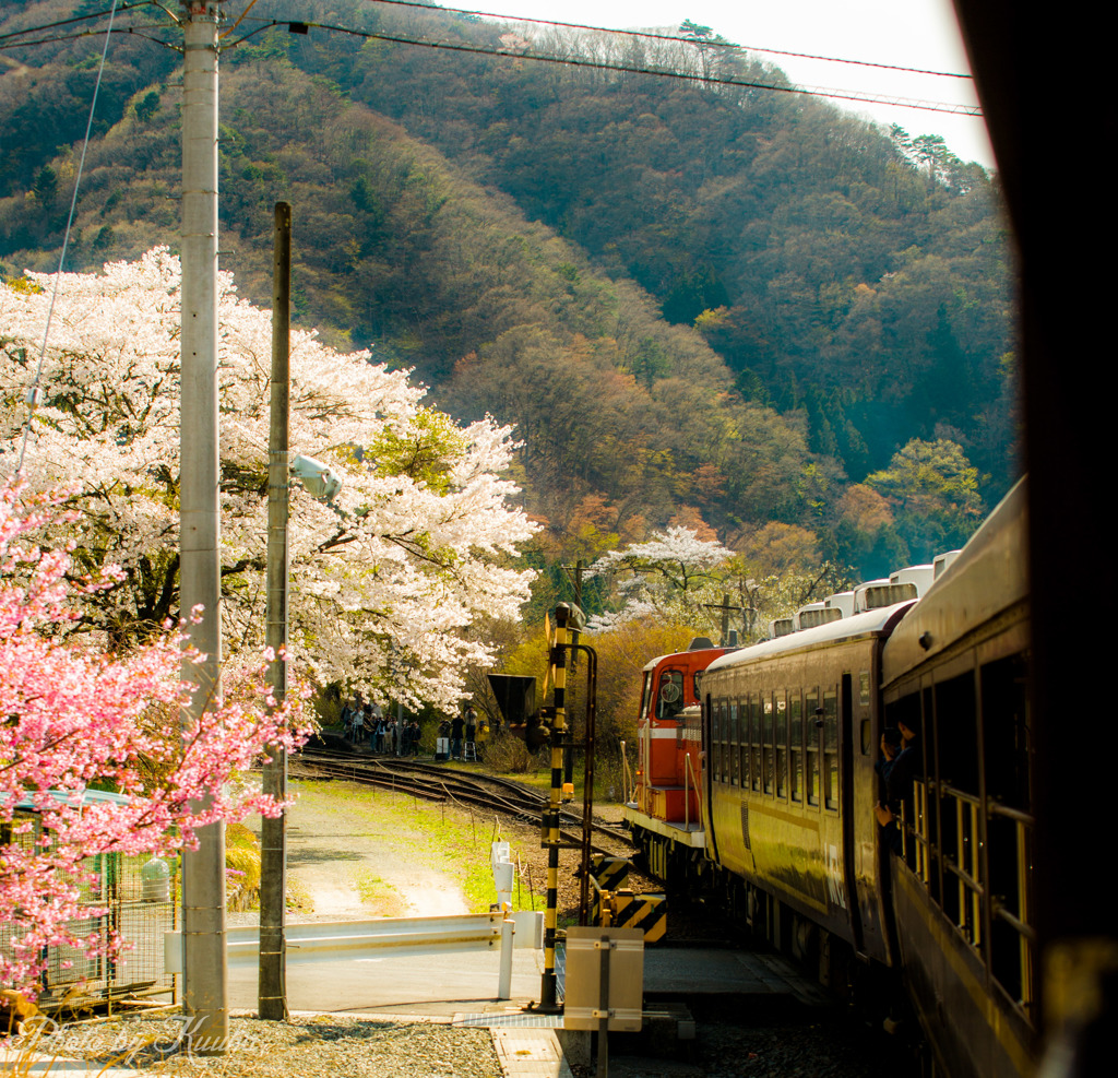 トロッコ花桃号