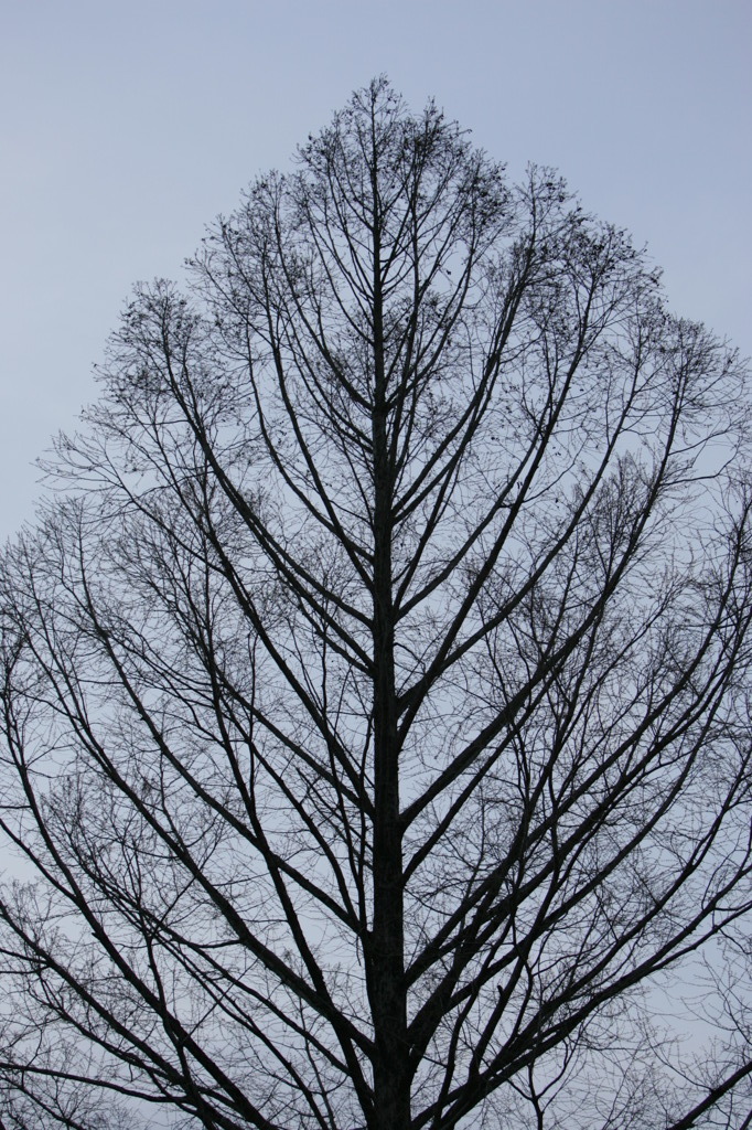 空へ