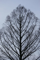 空へ