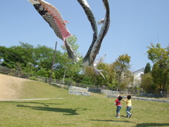 tobitai