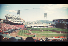 carp