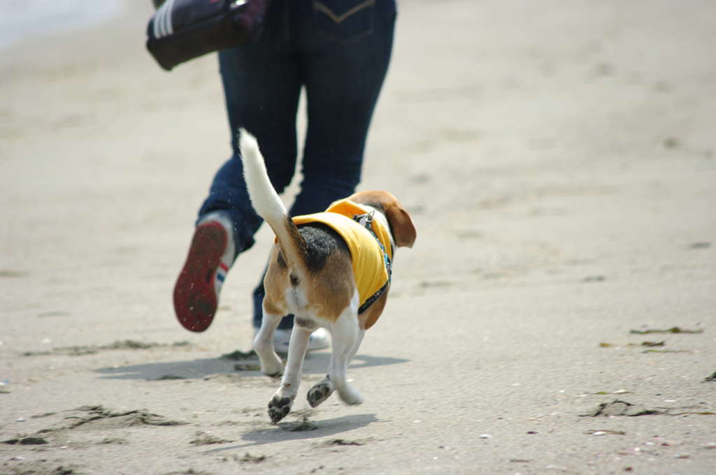 共に風に・・・