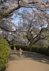 春の空の下で