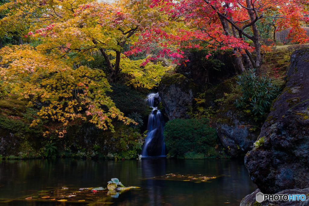 庭園の紅葉