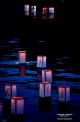 大沼湖水祭り　灯籠流し
