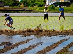 田植え　〜土曜日のファミリー〜