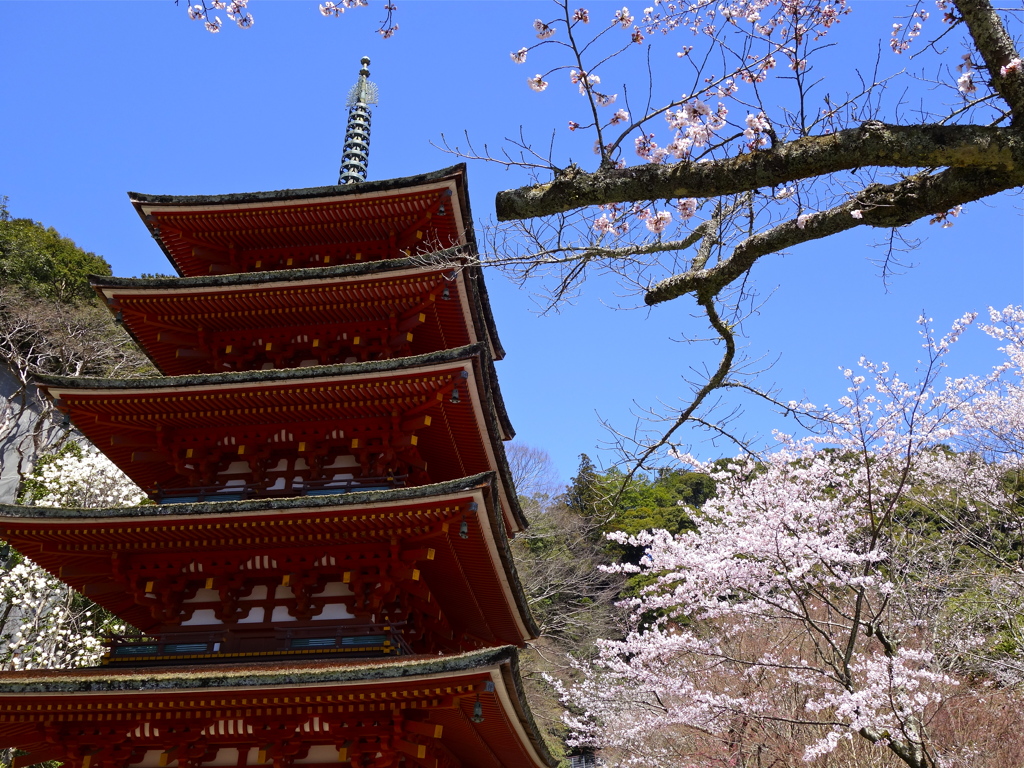 長谷寺にて２