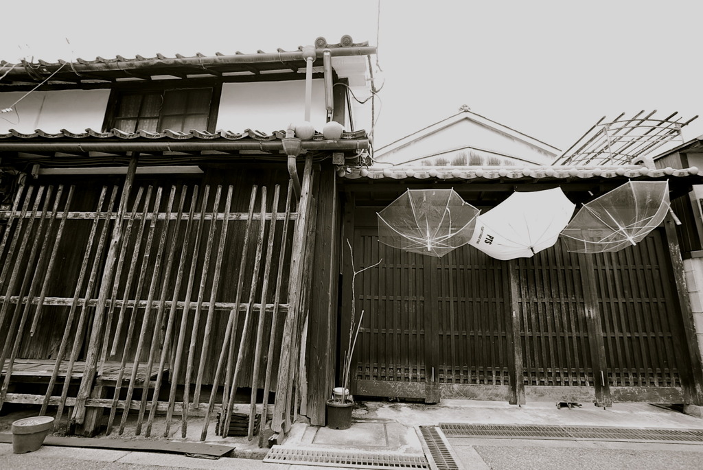 梅雨間の日（奈良　今井町にて）