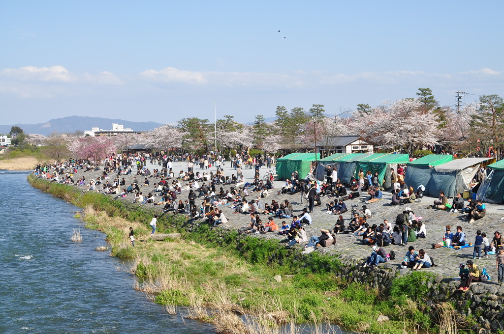 群がり。