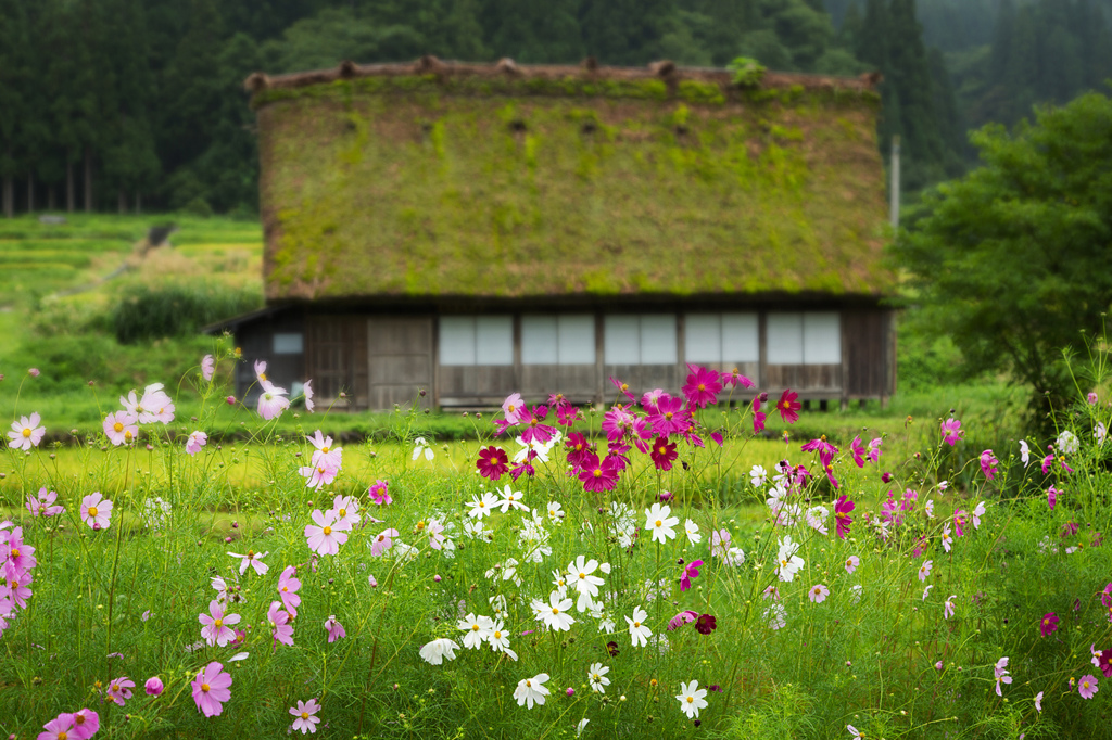 ☆秋の訪れ　～白川村