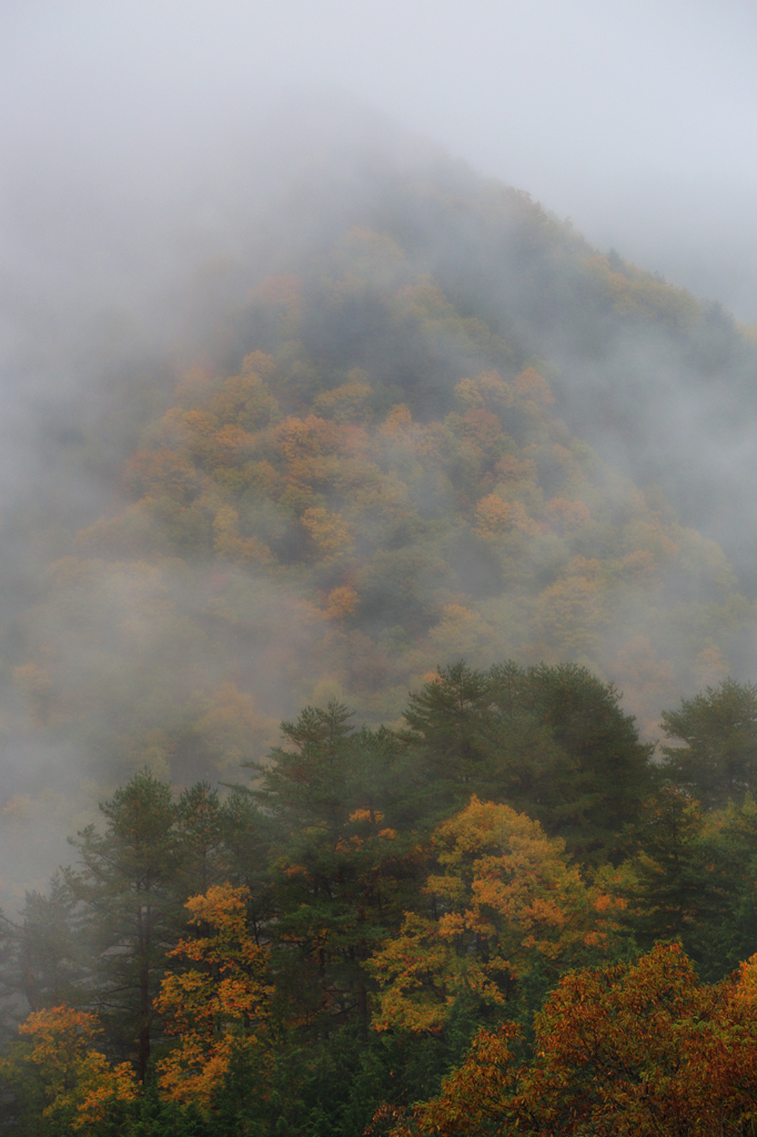 雨霞む山　
