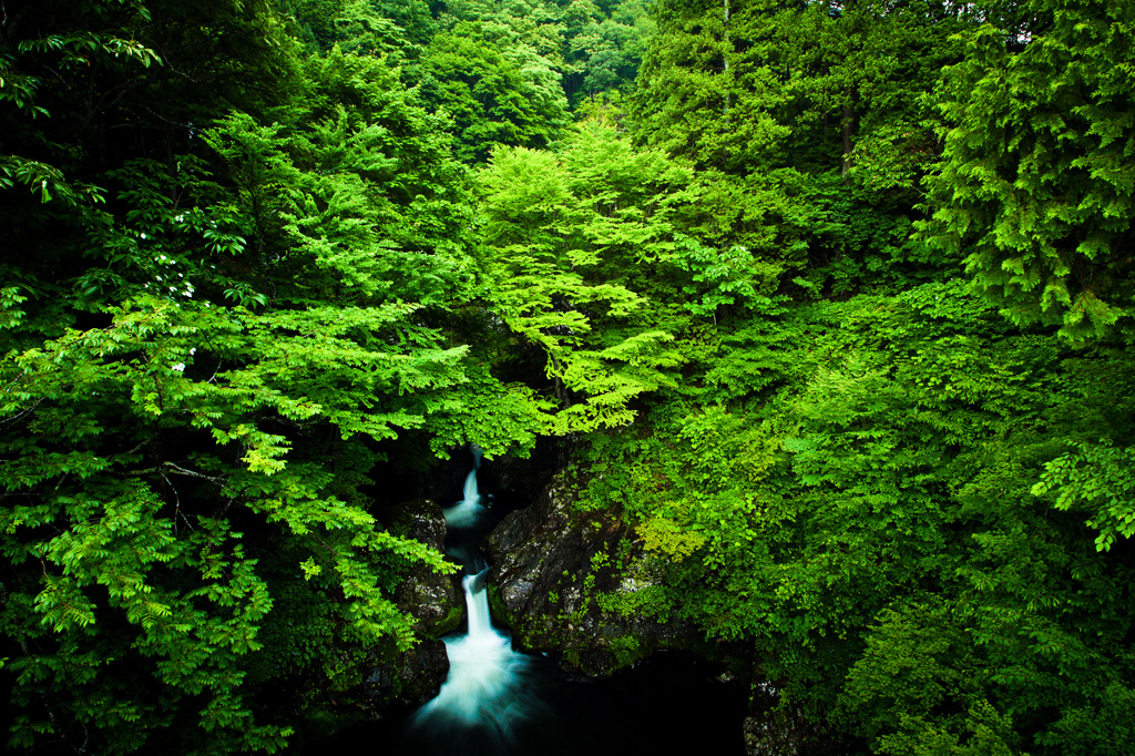 水と緑の國