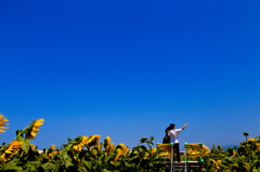 記念写真　～夏空とひまわり