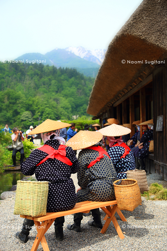 田植日和　～初夏の白川村　２