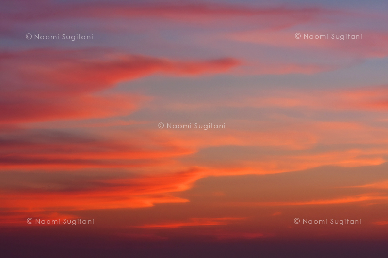 SUNSET1