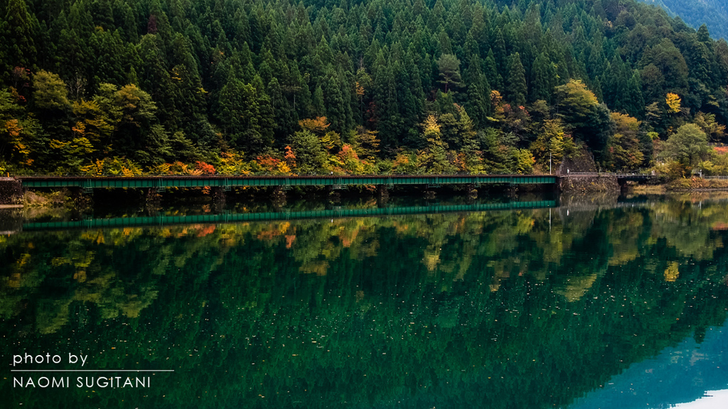 Reflection