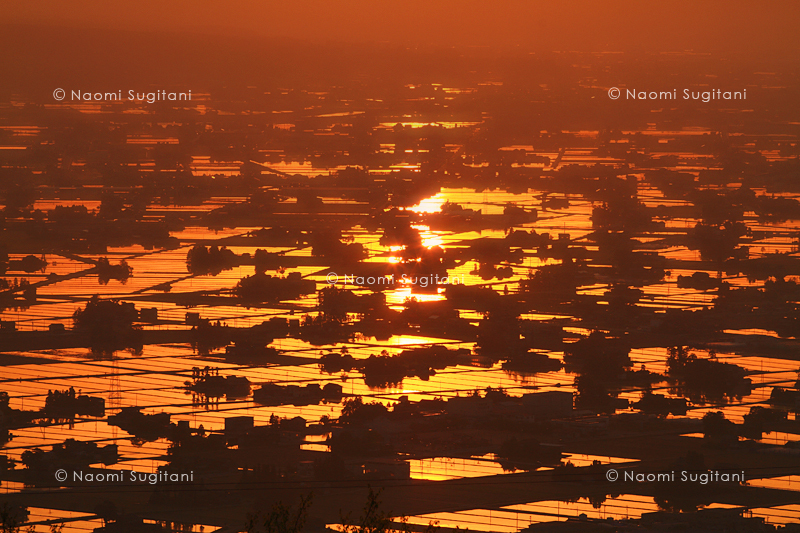 砺波平野の夕景　２