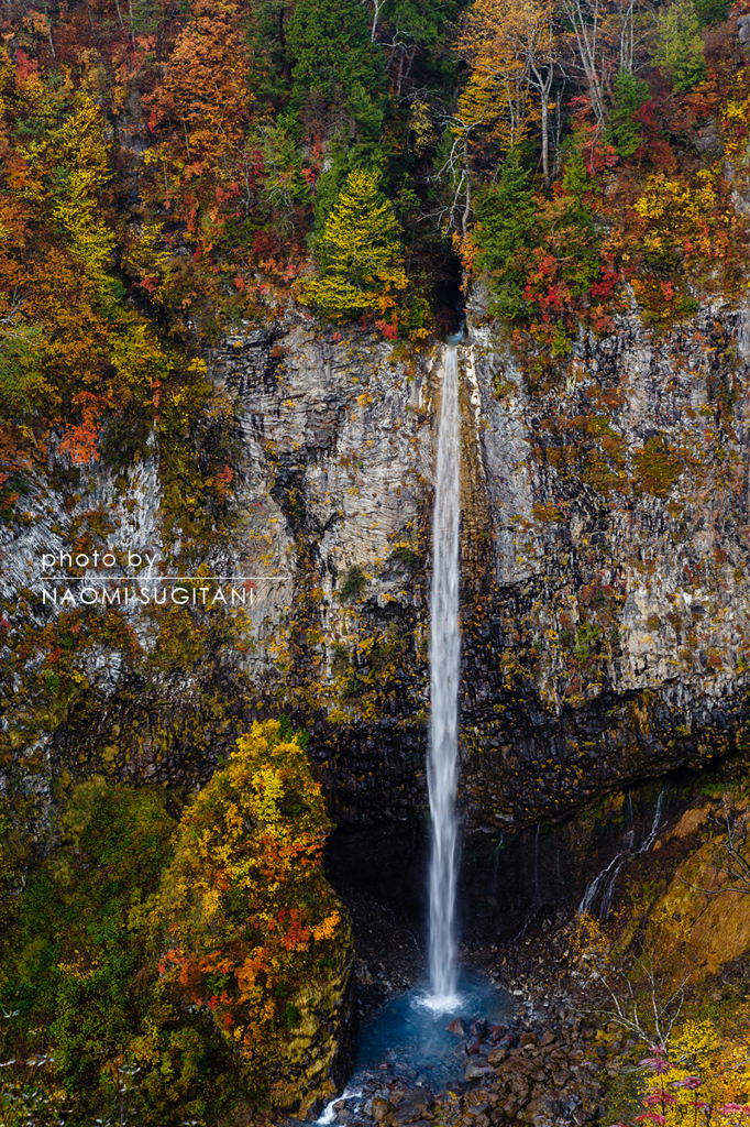 紅葉の白水の滝