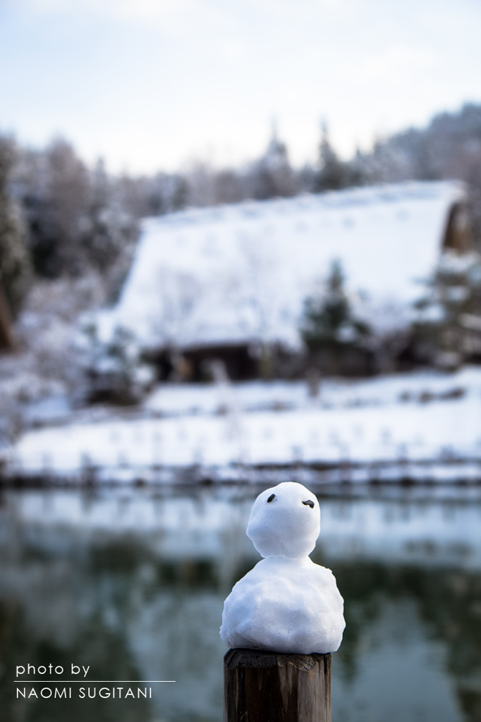 飛騨の初雪