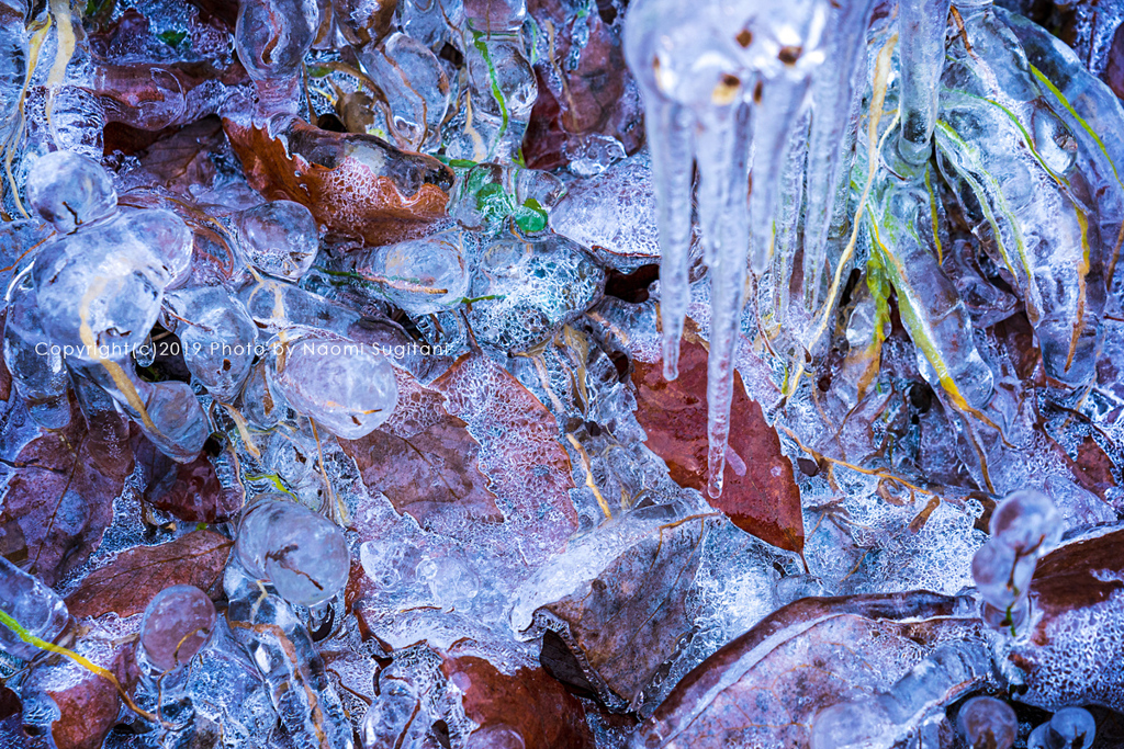 氷の中の秋 #91202
