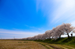 早朝の空気