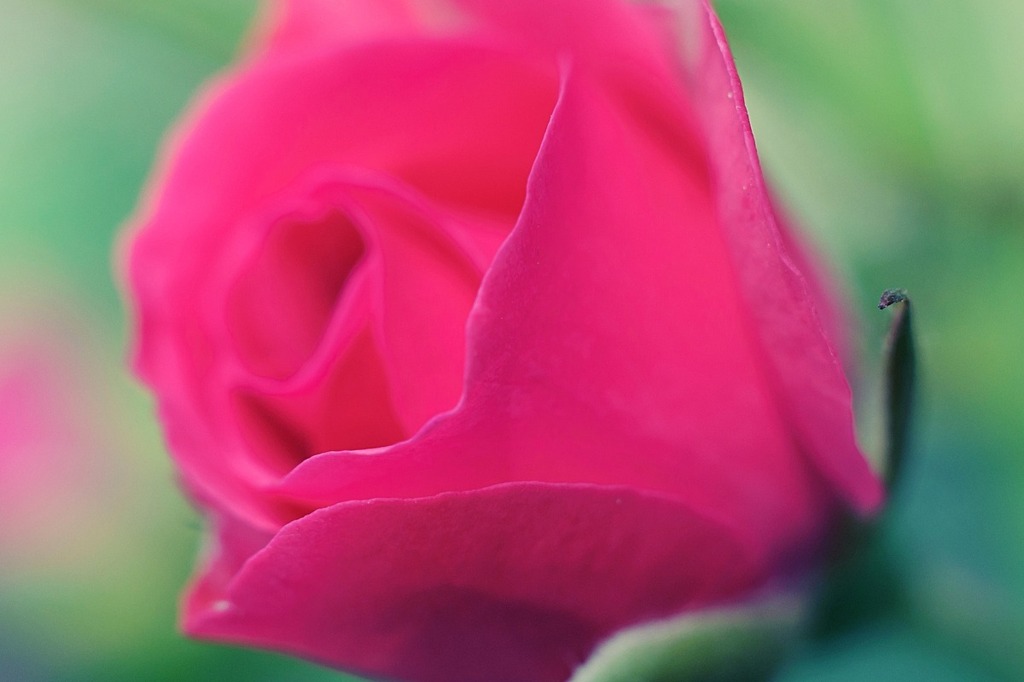 DSC_0802_1